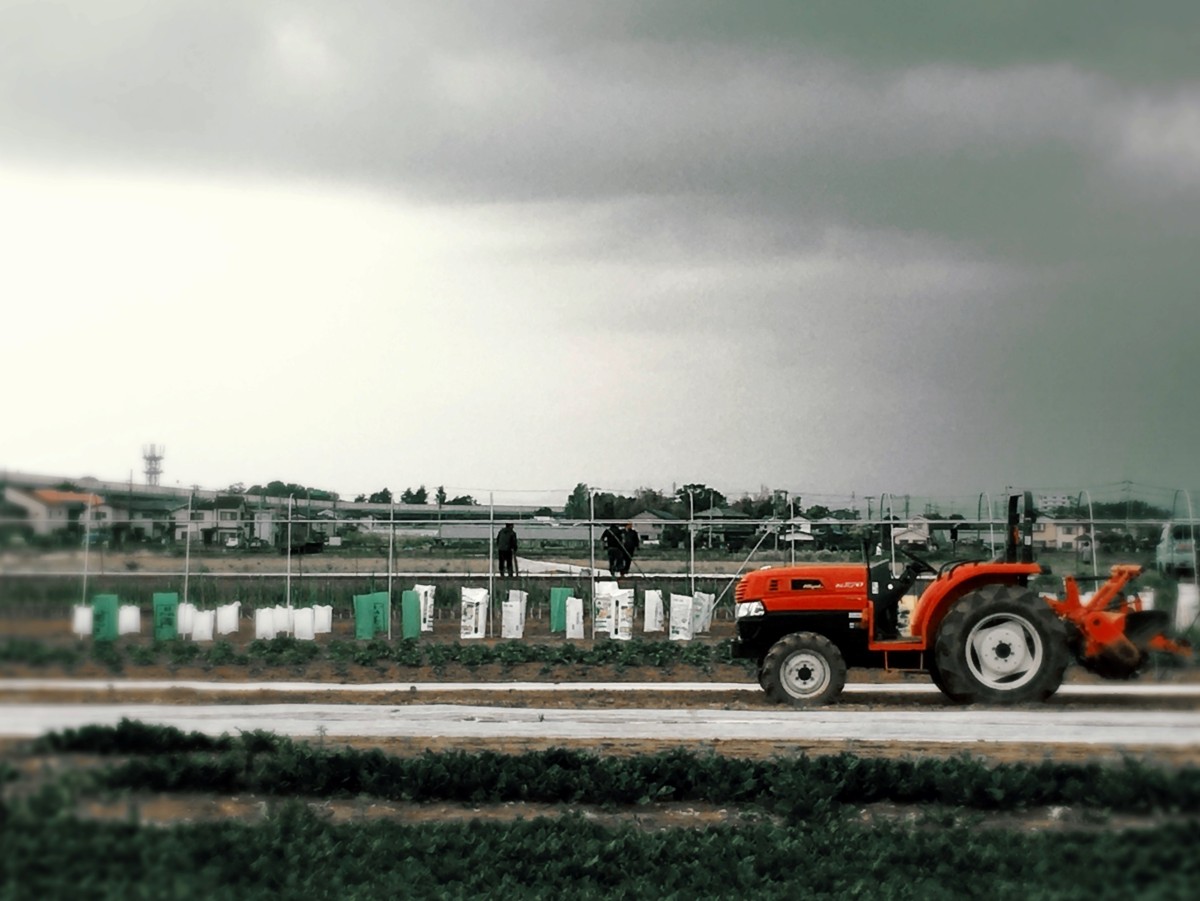2020-04-27 Down on the Farm