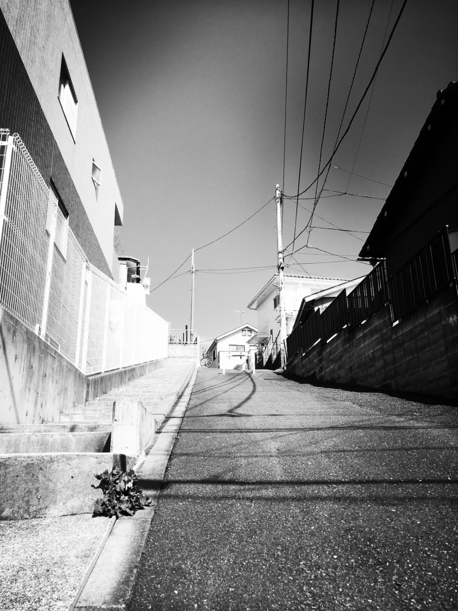 2020-03-01 Steep