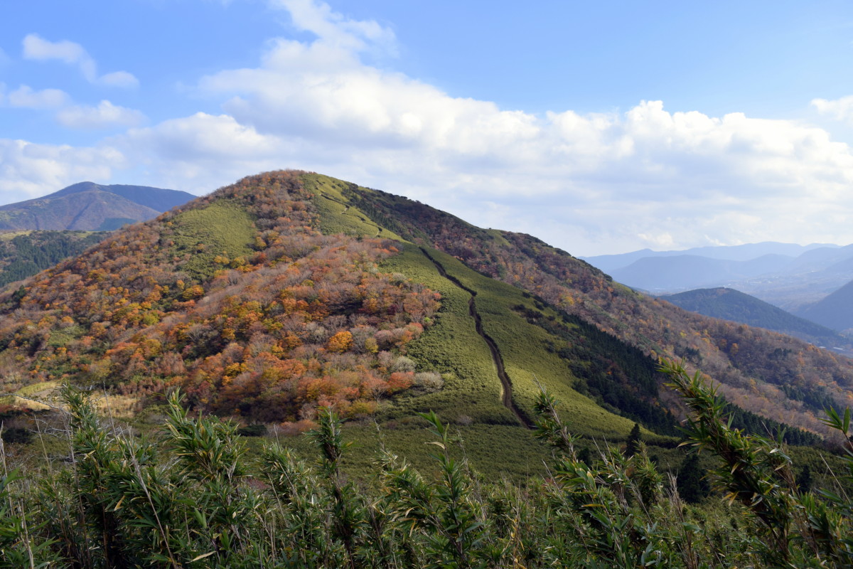 2020-11-15 Myojingatake Trail
