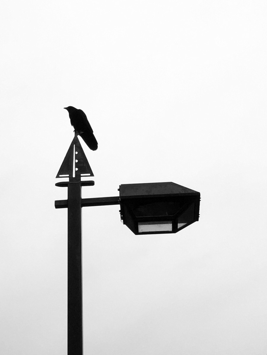 2020-06-23 In The Crow’s Nest