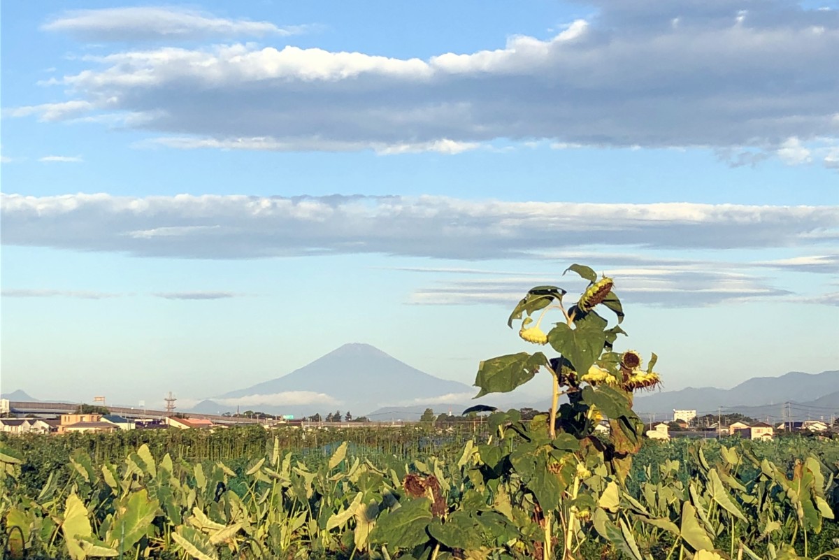 2020-09-09 6am Fuji