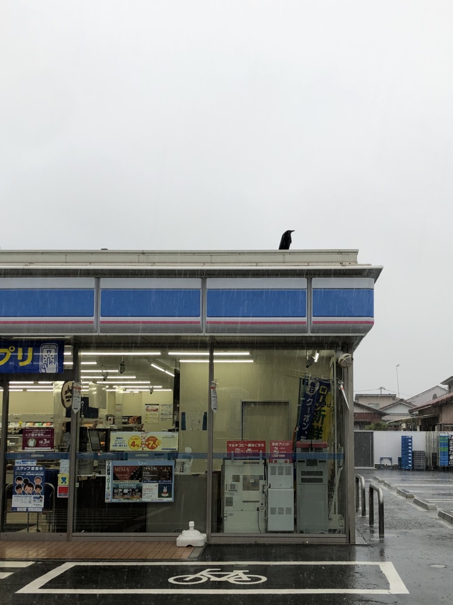 2020-07-17 A Convenient Crow