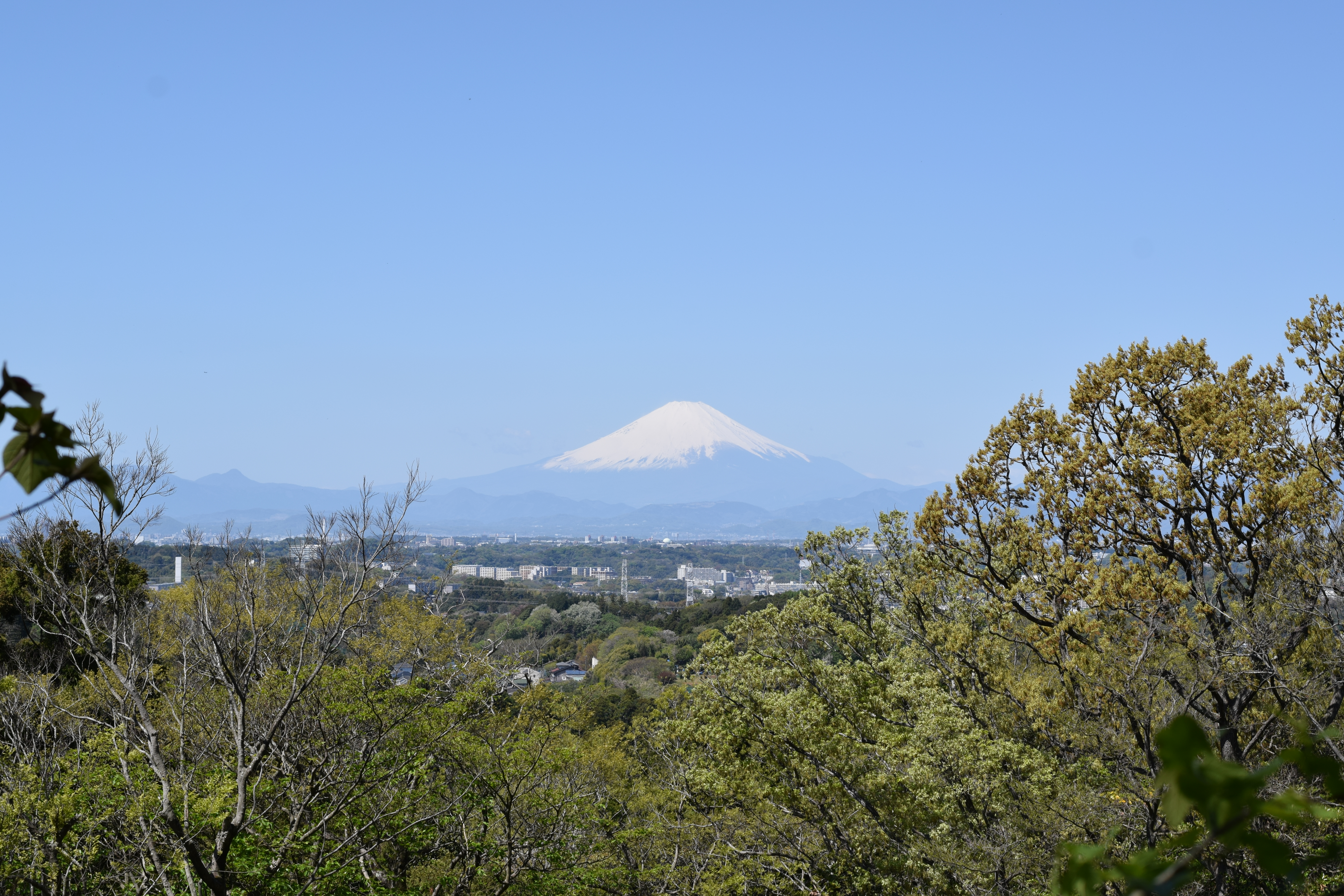 A Wee Walk on a Wednesday: Konandai to Kita-Kamakura
